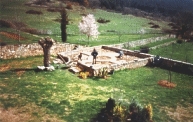 The garden 1st April with Ginkgo Biloba tree, as yet unburnt, on the left (copyright Michael Eldridge 1999)