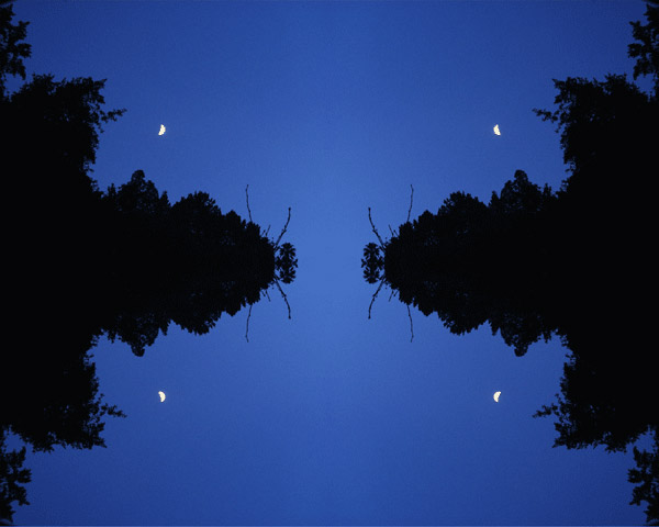 'Moon & Trees' © Copyright Jack Fulton 2004