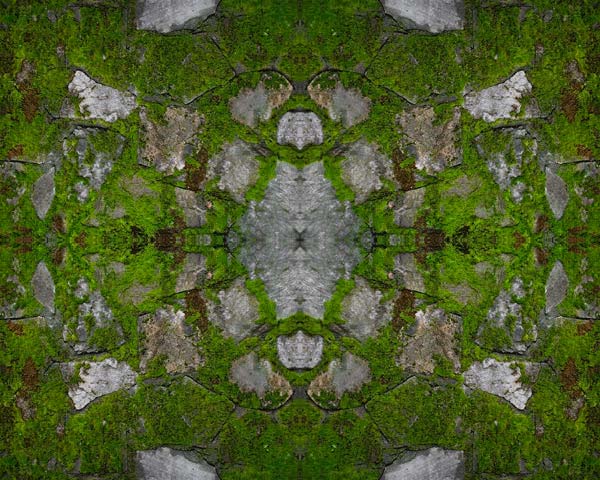 'Mess Moss Mass' © Copyright Jack Fulton 2004