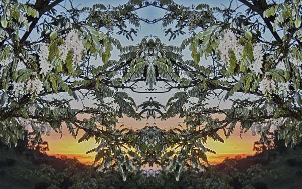 'Double Dawn' © Copyright Jack Fulton 2004