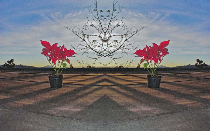 'Winter into Spring' © Copyright Jack Fulton 2004